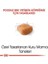 Poodle Adult Yetişkin Köpek Maması 3 Kg 3