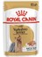 85GR Yorkshire Terrier Adult Yaş 12ADET Köpek Maması 1