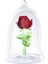 Biblo Enchanted Rose 5230478 1