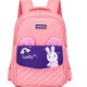  Renk Pembe