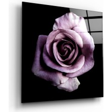 Insigne Mor Gül Cam Tablo - 40X40 cm