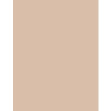 Tinted Moisturizer Canlı Görünüm Veren Likit Renkli Nemlendirici (003 Ivory Nude) 8682536041379