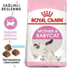 Royal Canin Mother Babycat Kedi Maması 4 kg