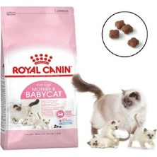 Royal Canin Mother Babycat Kedi Maması 4 kg