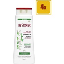 Restorex Yağlı Saçlar Şampuan 500 ml 4 Adet