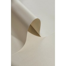 Roco Paper Co. Sedef Fon Kartonu - Krem 160 Gr. 50*70 cm