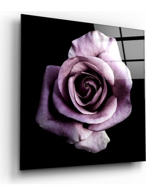 Insigne Mor Gül Cam Tablo - 40X40 cm