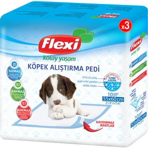 Köpek Alıştırma Pedi 10'lu 3 Paket