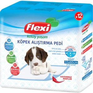 Köpek Alıştırma Pedi 10'lu 12 Paket