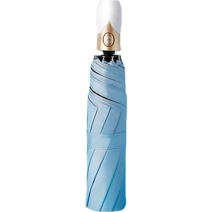 Ivy Stationery Sekiz Kemik Otomatik Katlanır Şemsiye (Yurt Dışından)