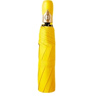 Ivy Stationery Sekiz Kemik Otomatik Katlanır Şemsiye (Yurt Dışından)