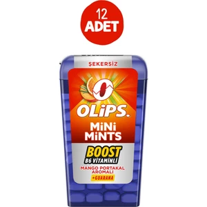 Mini Mints Mango Portakal Aromalı 12,5 gr 12 Adet