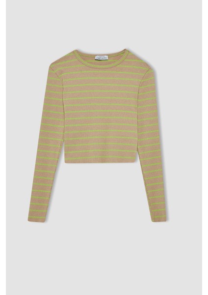 Fitted Bisiklet Yaka Çizgili Uzun Kollu Tişört Y9401AZ22AU