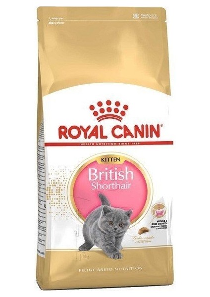 British Shorthair Kitten Yavru Kedi Maması 2 kg