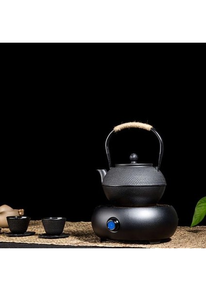 Dökme Demir Çay Potu Set Japon Çaydanlık Tetsubin Su Isıtıcısı Metal Net Filtre ile 600 ml Şakayık Kung Fu Çay Demlikleri Otantik | Çaydanlıklar