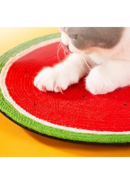 Kepek Yok, Kedi Çizik Koruma, Kanepe Yastık, Kedi Çizik Pedi, Kedi Oyuncak modelleri