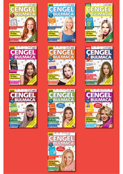 Çengel Bulmaca 10'lu Set 2