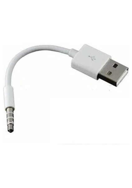 Aux To Erkek USB Şarj Kablosu ve Ses Dönüştürücü Adaptör
