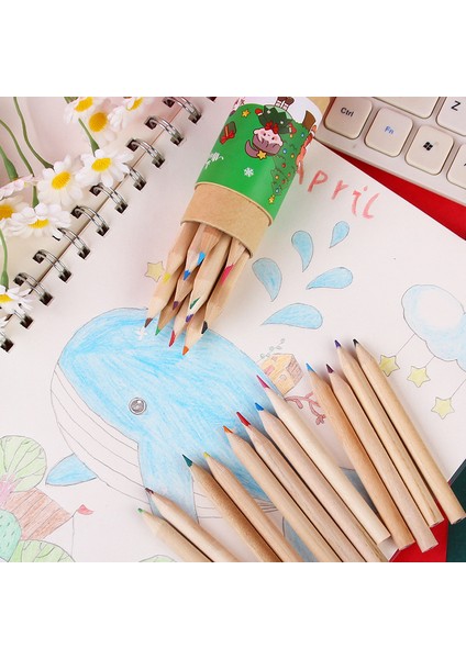 12 Renkli Kuru Boya Kalem Seti (Yurt Dışından) indirimleri