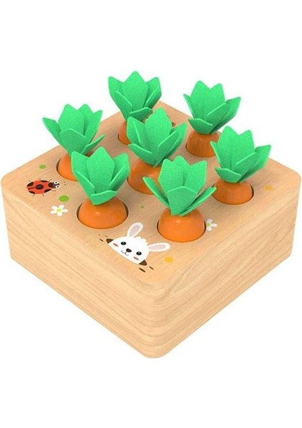 Ahşap Oyuncaklar Bebek Montessori Ahşap Oyuncak Seti Çekerek Havuç Şekli Eşleştirme Havuç Hasat Şekil Sıralama Bulmaca Biliş Eğitim | Matematik Oyuncakları (Yurt Dışından)