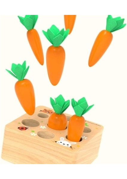Ahşap Oyuncaklar Bebek Montessori Ahşap Oyuncak Seti Çekerek Havuç Şekli Eşleştirme Havuç Hasat Şekil Sıralama Bulmaca Biliş Eğitim | Matematik Oyuncakları (Yurt Dışından)