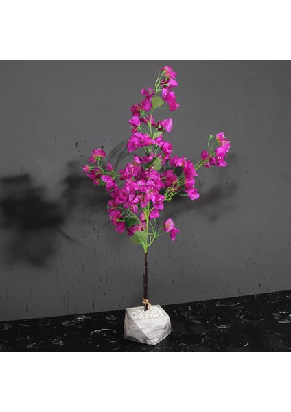 Begonvil Çiçek Saksı 90 cm
