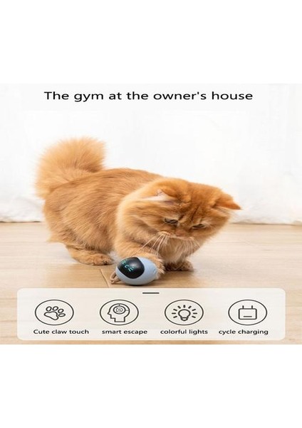 Pet Akıllı Interaktif Kedi Oyuncak Renkli LED Öz Dönen Top Oyuncaklar USB Şarj Edilebilir Kitten Elektronik Top Oyuncaklar Kedi Aksesuarları | Kedi Oyuncakları (Yurt Dışından) modelleri