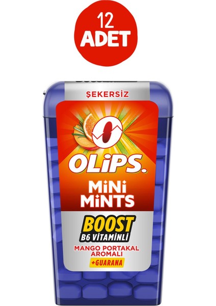 Mini Mints Mango Portakal Aromalı 12,5 gr 12 Adet