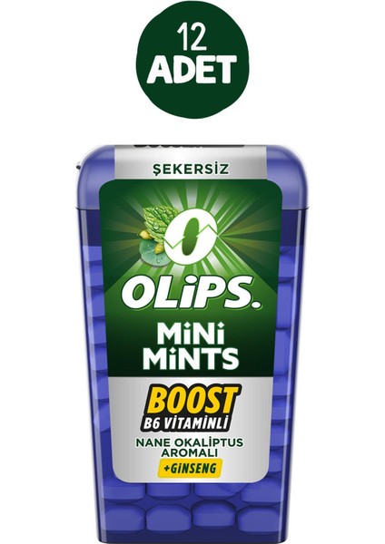 Mini Mints Mentol Okaliptüs Aromalı 12,5 gr 12 Adet