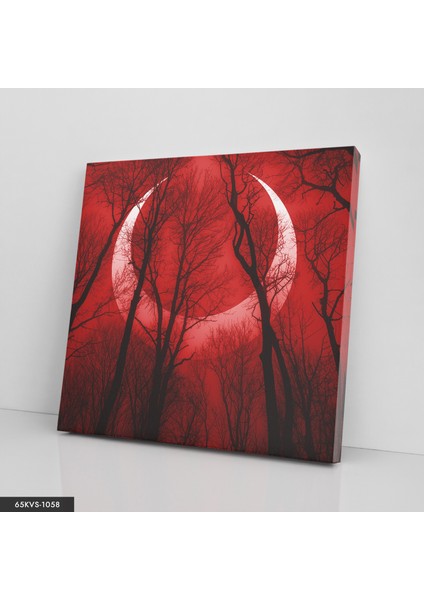 Orman Hilal Tek Parça Kare 65X65 cm Kanvas - Canvas Tablo fiyatları