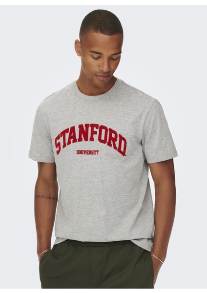 Bisiklet Yaka Baskılı Açık Gri Erkek T-Shirt 22023064_ONSJAKE Reg Stanford Ss 30