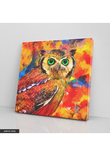 Baykuş Tek Parça Kare 65 x 65 cm fiyatları
