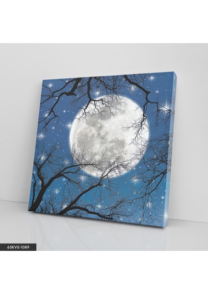 Ağaçlar Arasında Ay Tek Parça Kare 65 x 65 cm fiyatları