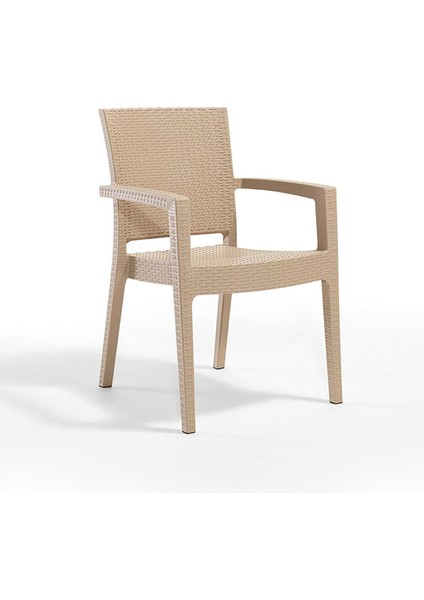 Rattan Koltuk 2 Adet