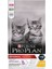 Cat Kitten Tavuklu 3 kg 1
