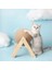 Sisal Kedi Tırmalamak Topu Aşınmaya Dayanıklı ve Geçirmeyen Masif Ahşap Dikey Kedi Oyuncak Malzemeleri 2