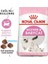 Mother Babycat Kedi Maması 2 kg 2