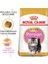 2Kg PERSIAN KITTEN Yavru Kedi Maması 3