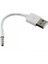 Aux To Erkek USB Şarj Kablosu ve Ses Dönüştürücü Adaptör 1