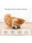 Pet Akıllı Interaktif Kedi Oyuncak Renkli LED Öz Dönen Top Oyuncaklar USB Şarj Edilebilir Kitten Elektronik Top Oyuncaklar Kedi Aksesuarları | Kedi Oyuncakları (Yurt Dışından) 3
