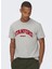 Bisiklet Yaka Baskılı Açık Gri Erkek T-Shirt 22023064_ONSJAKE Reg Stanford Ss 30 1