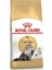 Persian Yetişkin Kedi Maması 2 kg 1