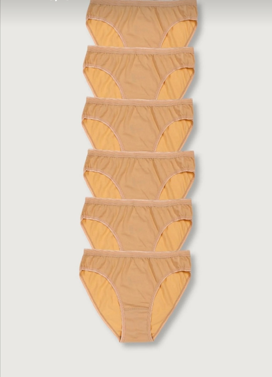 Tutku 6'lı Paket Kadın %100 Pamuk Bikini Külot görsel 4