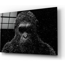 Insigne Goril Cam Tablo