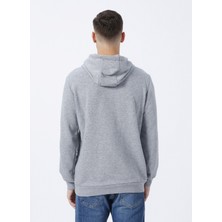 Aeropostale Kapüşon Yaka Baskılı Gri Melanj Erkek Sweatshirt E-1276