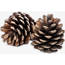 SLM Yılbaşı Süs Kozalak