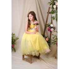 Mnk Baby Sırt Gipeli Tüllü Kız Çocuk Saten Abiye