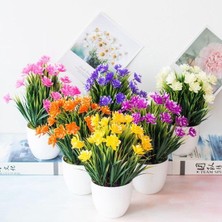 Nettenevime Yapay Çiçek 6 Adet Beyaz Saksıda Dolgun Mineli Şimşir Çiçeği Karışık Renkler