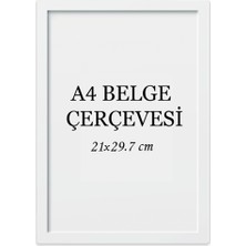 Özcanlar Çerçeve 5'li Set A4 Çerçeve Ucuz 21X29,7 Sertifika Evrak Diploma Belge Fotoğraf Çerçevesi Duvara Asılabilir Ofis