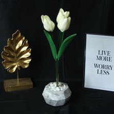 Moryconcept Lale 3'lü Çiçek Taş Saksı
